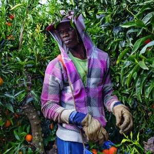 Ongles Perfect - Nail Art Professionnel