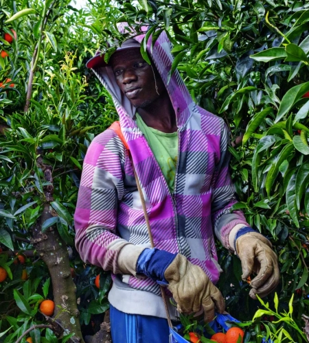 Ongles Perfect - Nail Art Professionnel